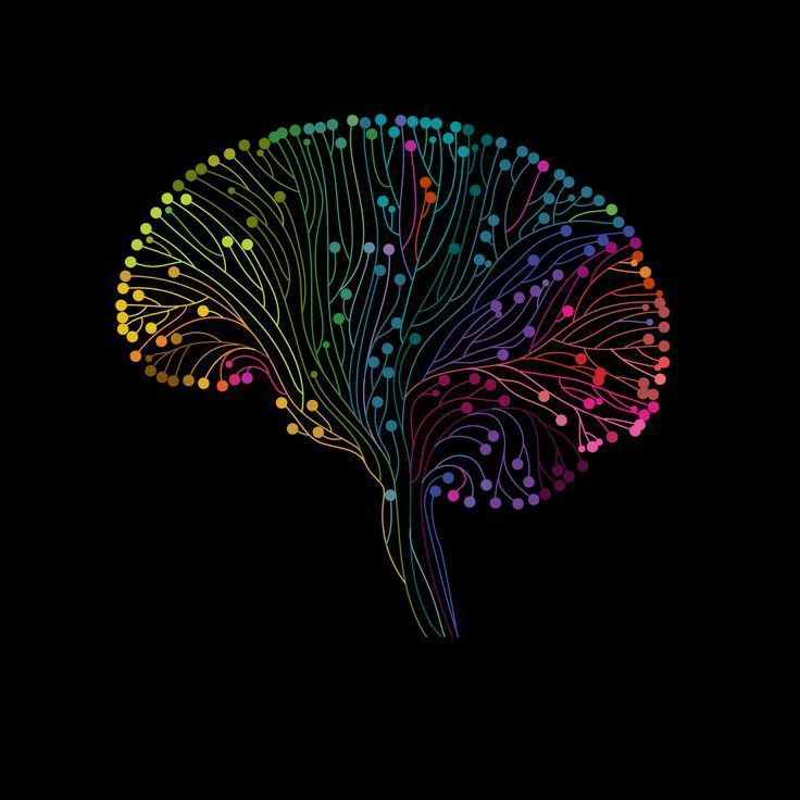 Artificial Neural Networks